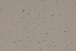 PVC Commercial Space 5443 Wood Path - Cloned_1