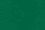 Sportpõrand Gerflor Taraflex Surface 6557 Forest roheline _1