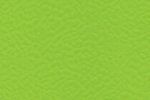 Sportpõrand Gerflor Taraflex Performance 6559 Spring roheline _1