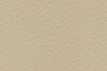 Sportpõrand Gerflor Taraflex Surface 6347 Beige beez _1