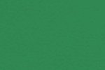 Sportpõrand Gerflor Taraflex Badminton 6570 Mint Green roheline (teisaldatav)_1