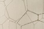 Tekstiiltapeet Vescom Linen Combolin 2621.21 beeź_1