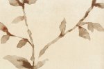Vinüülseinakate Muraspec Florals & Botanics-LTD00504 Taimed _1