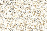 Acoustic PVC 9753 Energy - Cloned - Cloned - Cloned - Cloned - Cloned - Cloned - Cloned - Cloned - Cloned - Cloned - Cloned - Cloned - Cloned - Cloned - Cloned - Cloned - Cloned_1