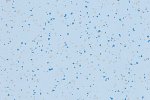 PVC commercial space 4496 Light Sapphire_1