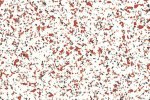 PVC commercial space 4496 Light Sapphire_1