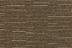 Plaatvaip Paragon Cloudburst, Starfield Shower, 102194 pruun_1