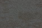 Plaatvaip Paragon Heathstar, Dune Moonlight, 603132 hall/ pruun_1