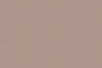 Vinüülseinakate Vescom Colour Choice 1056.027 beeź_1
