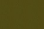 Vinüülseinakate Vescom Colour Choice 1056.135 roheline_1