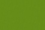 Vinüülseinakate Vescom Colour Choice 1056.138 roheline_1