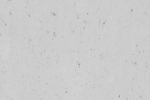 Linoleum Gerflor DLW Colorette Acoustic Plus 0052 OXID GREY hall_1