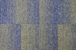 Plaatvaip Paragon Diversity Groove JAXX sinine/beeź_1
