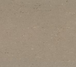 Linoleum Gerflor Colorette 0043 Light Mud helepruun