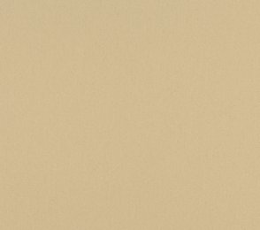 Linoleumi 0043 Neutraali beige