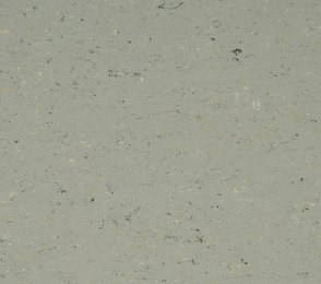 Linoleum 0058 Aluminum Grey