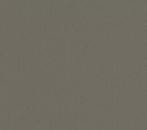 Linoleum 0058 Clay Grey