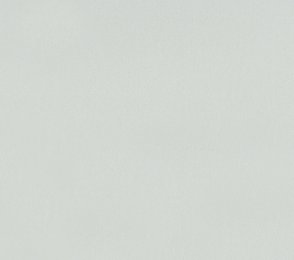 Linoleumi 0059 huurreharmaa