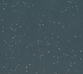 Linoleum Gerflor Lino Art 0070 Cool Grey hall