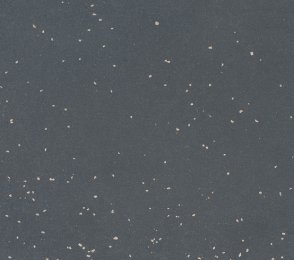 Linoleum Gerflor Lino Art 0083 Alumino Light Grey hall