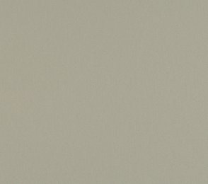 Linoleum Gerflor Acoustic Plus Uni Walton 0085 Warm concrete grey hall
