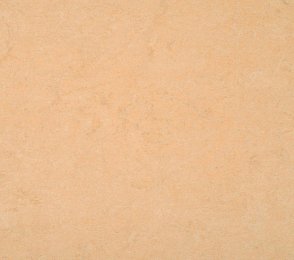 Linoleum 0098 Desert Beige