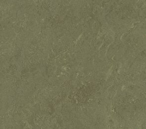 Linoleum 0138 Khaki