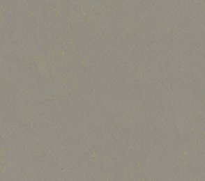 Linoleum Gerflor Lino Art 0551 Flashy Asphalt Grey hall