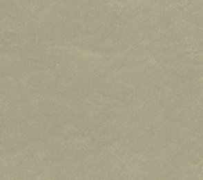 Linoleum Gerflor DLW Lino Art Urban 0556 MUD GREY hall