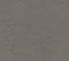 Linoleum 0560 Bold Grey