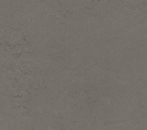 Linoleum Gerflor Lino Art 0560 Bold Grey hall