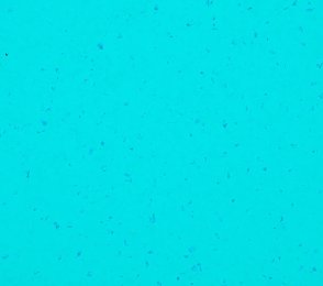 PVC Commercial Space 5437 Reef Water