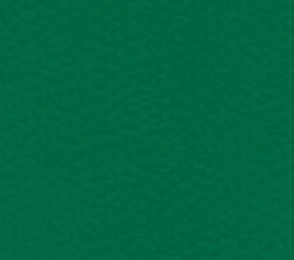 Sportpõrand Gerflor Taraflex Performance 6557 Forest roheline 