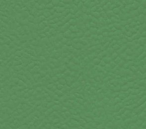 Sportpõrand Gerflor Taraflex Recreation 60, 6556 Verde roheline 