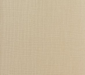 Vinüülseinakate Vescom Rainy 1058.08 beeź