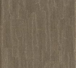Vinüülseinakate Muraspec Bark-03G86 pruun