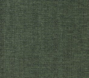 Vinüülseinakate Vescom Xorel Meteor 2549.45 roheline