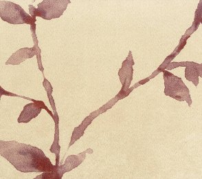 Vinüülseinakate Muraspec Florals & Botanics-LTD00505 Taimed  