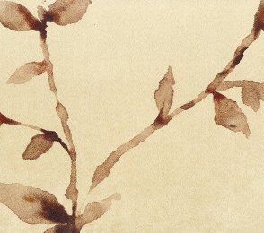 Vinüülseinakate Muraspec Florals & Botanics-LTD00502 Taimed  