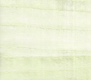 Käsitöötapeet Paper & Ink, Natural Silhouettes, ns52103 beeź