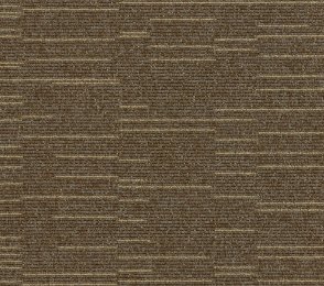 Plaatvaip Paragon Cloudburst, Starfield Shower, 102194 pruun
