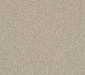 Niiske ruumi PVC Gerflor Shower System "Tarasafe H2O" 0031 Eacham pruun