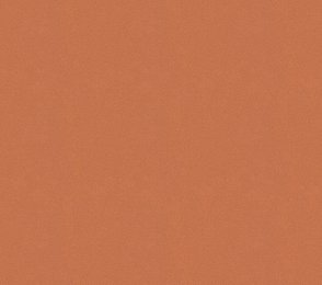 Vinüülseinakate Vescom Colour Choice 1056.012 oranź