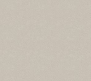 Vinüülseinakate Vescom Colour Choice 1056.066 beeź