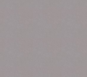 Vinüülseinakate Vescom Colour Choice 1056.093 hall 