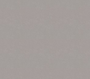 Vinüülseinakate Vescom Colour Choice 1056.094 hall 