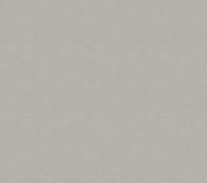 Vinüülseinakate Vescom Colour Choice 1056.095 hall