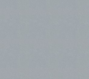 Vinüülseinakate Vescom Colour Choice 1056.105 hall