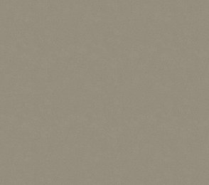 Vinüülseinakate Vescom Colour Choice 1056.130 pruun