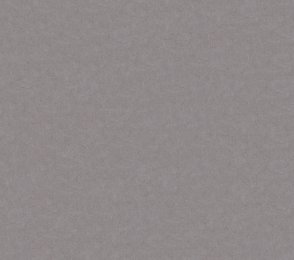 Vinüülseinakate Vescom Pleso 1026.16 hall  